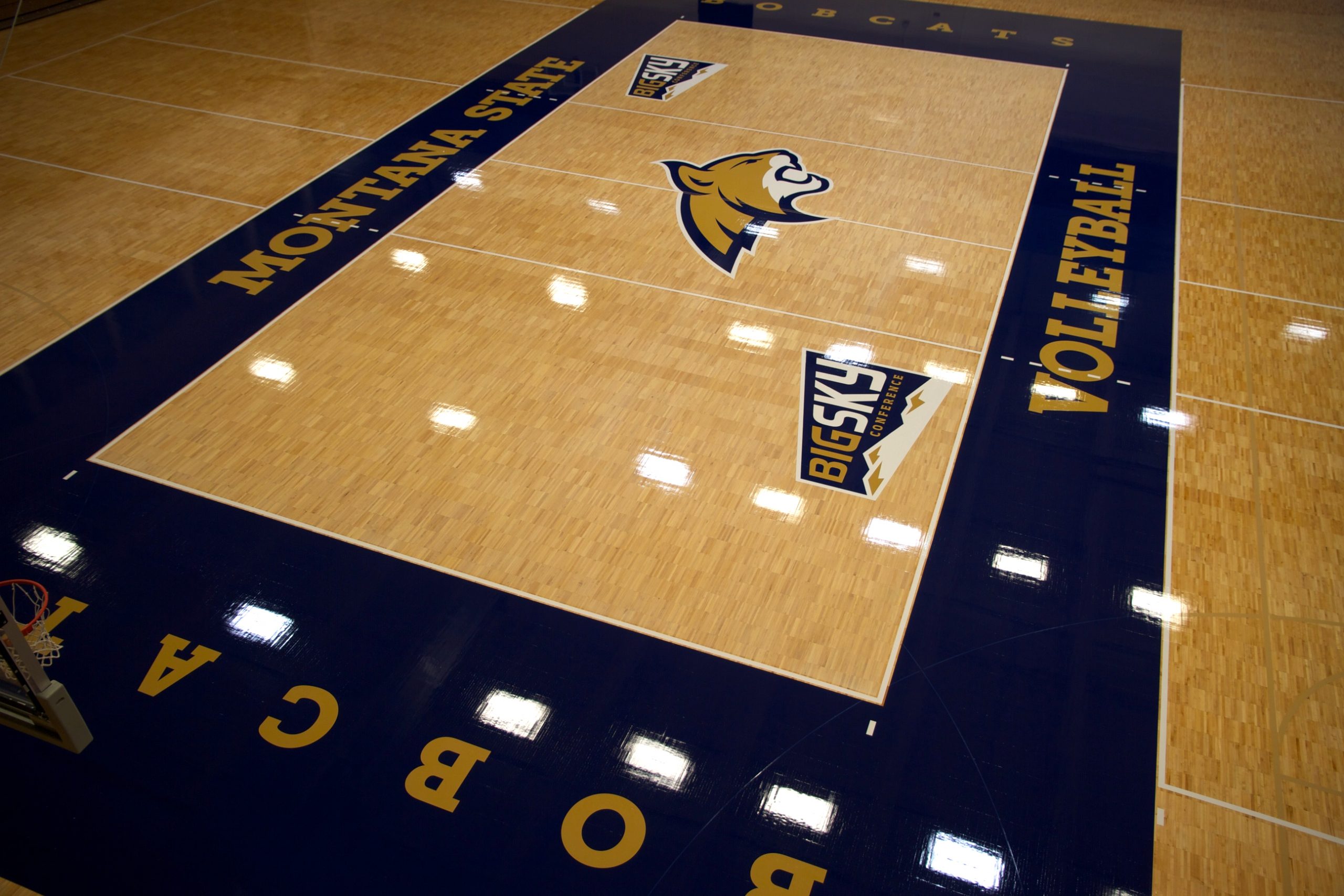 Montana State University Bobcats, Bozeman, Montana - volleyball facility sanded & refinished by COURTSPORTS. All design, logos, and stencils by COURTSPORTS.