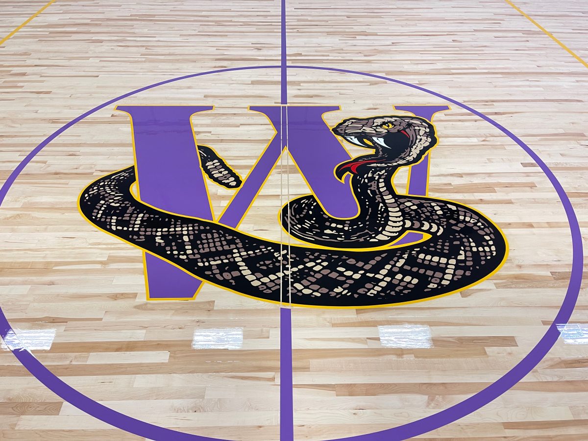 Center logo rattlers paintwork by COURTSPORTS.